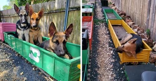 Man Builds Kid Size Railroad But It’s His German Shepherds That Are Riding The Rails