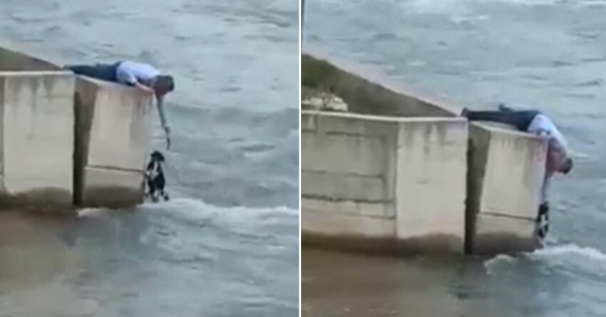 Man Skips Wedding Party To Rescue Trapped Dog Near Overflowing River