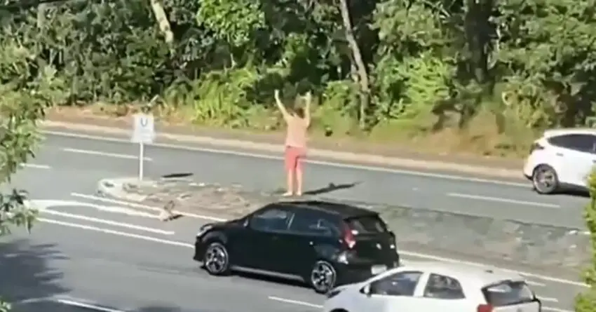 Man Finds Koala Trying To Cross A Busy Street, And Steps In To Help