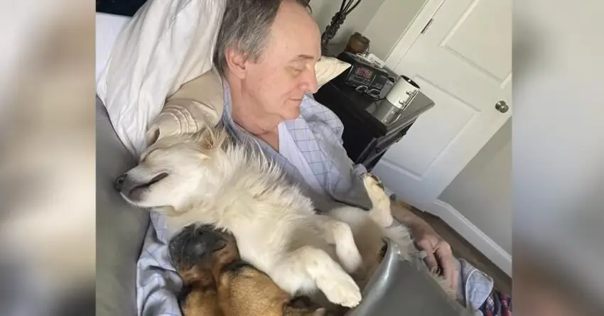 Woman Captured Her Dad While Taking A Nap With All The Neighbor Dogs