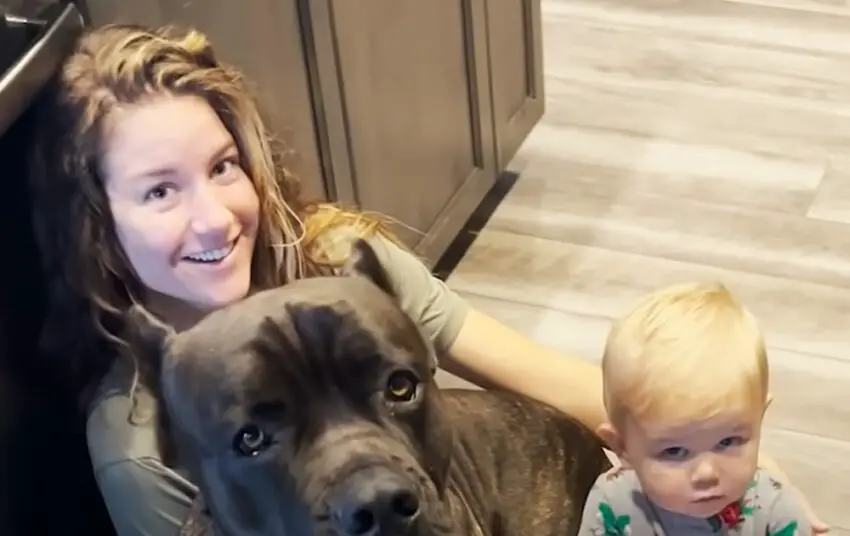 125-Pound Dog Becomes the Ultimate Assistant for Baby’s First Steps