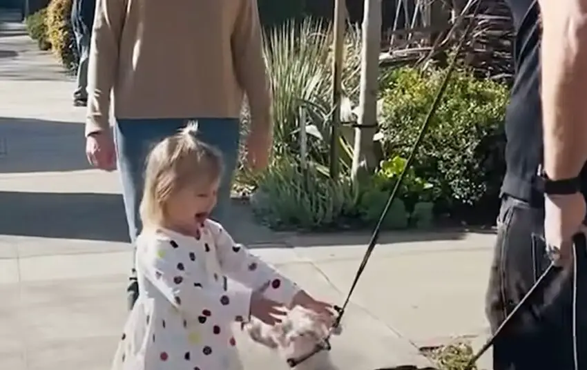 A 2 Yeard Child Forms an Unbreakable Friendship with a Deaf Puppy. Heartwarming Story of a Toddler and a Deaf ᴘᴜᴘᴘʏ’s ᴜɴʙʀᴇᴀᴋᴀʙʟᴇ ʙᴏɴᴅ