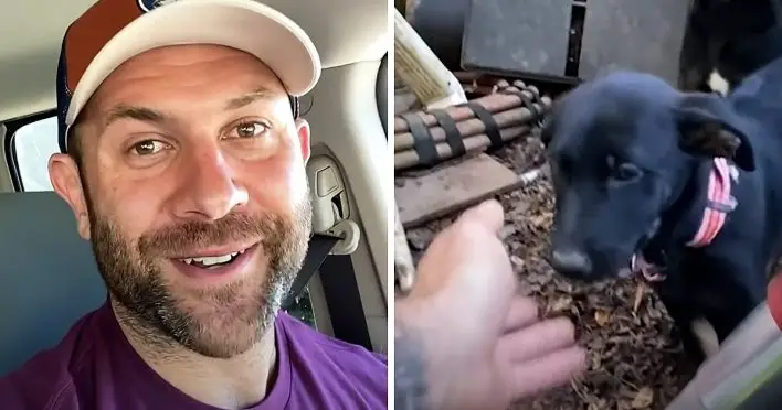 Act of Compassion: Man’s Selfless Dash to Assist Woman Forced to Give Up Her Beloved Dogs