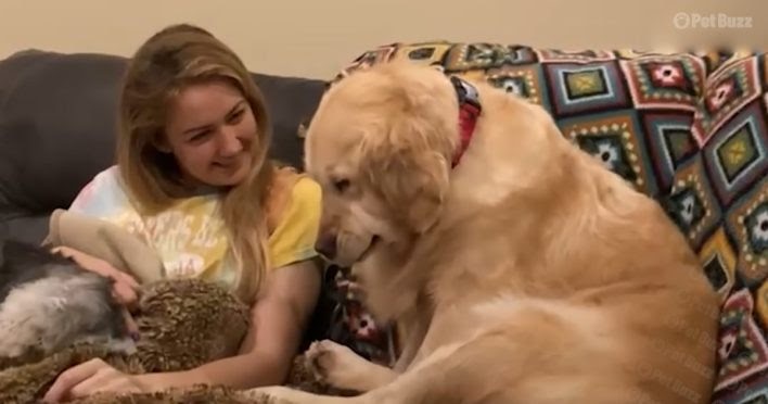 Healing Bond: Rescued Dog Finds Hope and Healing Through Unlikely ‘Baby’ Companion