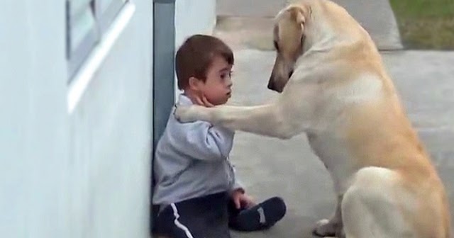 Boy With Down Syndrome Has No Friends, The Dog’s Reaction Brought Me To Tears