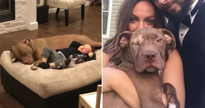 Boy With Flu Only Allows His Beloved Dog To Comfort Him