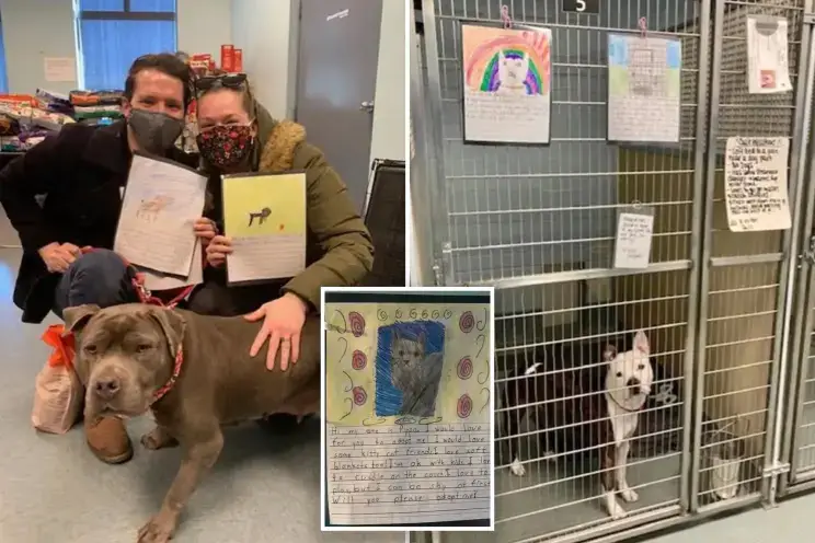 Second graders write heartfelt stories from shelter dogs’ perspectives to get them adopted