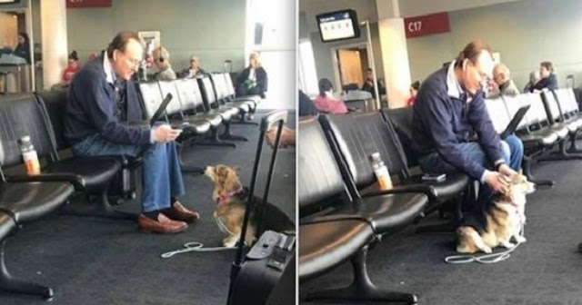 Corgi comforts man at airport who lost his dog the night before