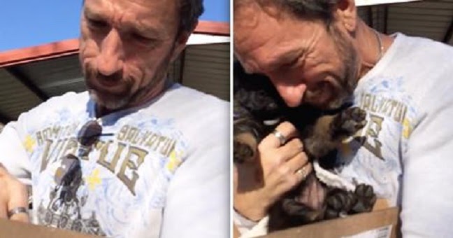 Dad Gets Emotional When His Family Surprises Him With German Shepherd Puppy