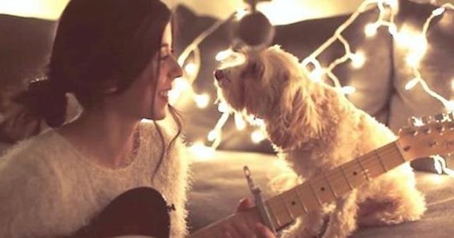 Dog Has the Cutest Reaction When Her Human Serenades Her with a Christmas Song