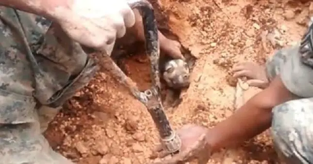 Dog 𝐁𝐮𝐫𝐢𝐞𝐝 Alive By Mudslide Rescued After People Hear Him Barking – 71