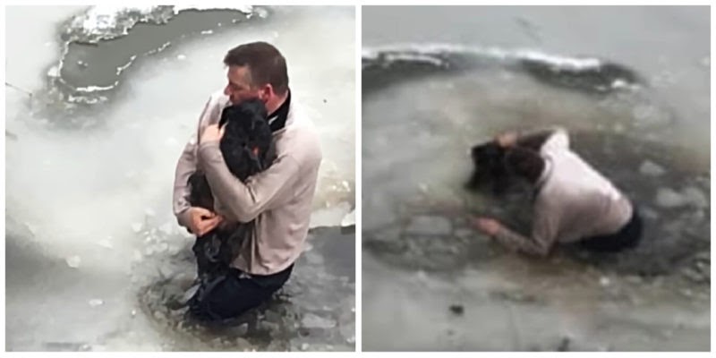 Man’s Heroic Act: Dives into Cold Water to Save Stranded Dog