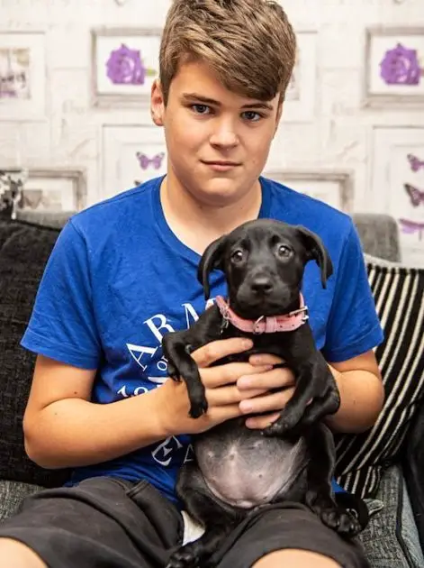 A Heartwarming Tale: Puppy Born With 6 Legs Adopted By Boy With Troubles of His Own