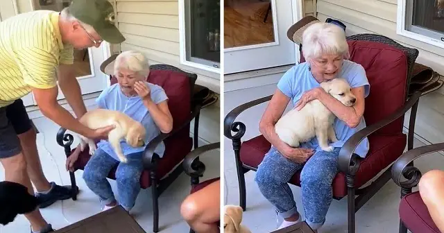 Grandma Was Inconsolable After Her Dog Passed Away, So Family Got Her A “Gift”