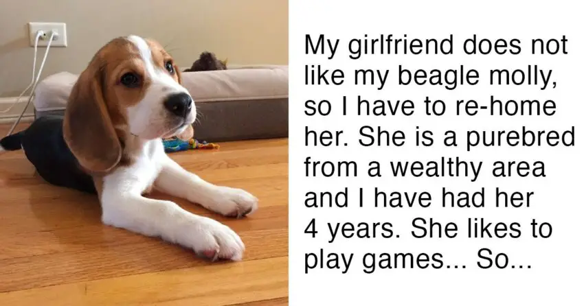 Girlfriend Tells Boyfriend ‘Either The Dog Goes Or I Go’ – Man’s Reply Wins The Internet – 102