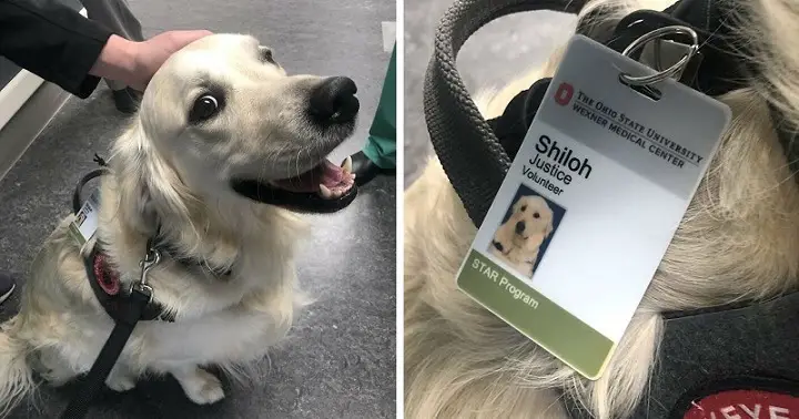 Hospital Hires A Special Employee Just To Greet Other Employees While They Work