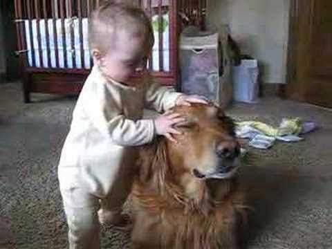 Adorable bond between a boy and his best friend dog as he gives a loving massage