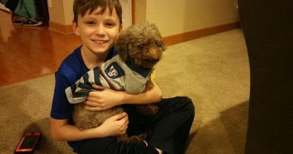 Little Boy Goes To Shelter And Adopts The Oldest Dog There