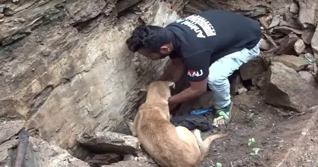 Mama Tries To Dig Out Her Babies After A House Collapsed On Top Of Them