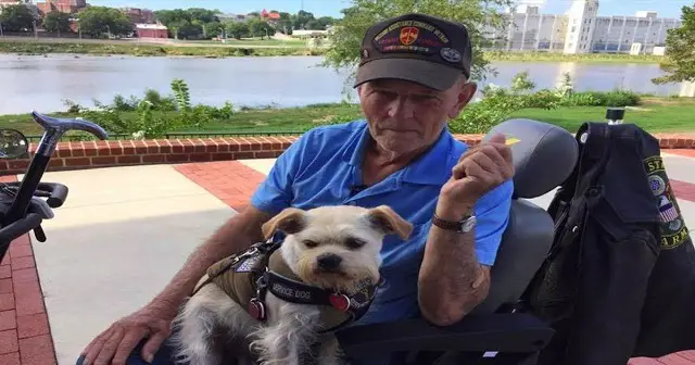 Man Adopts Dog 24 Hours Before He Would’ve Been Put Down, Then The Dog Saves His Life