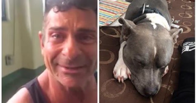 Man Tearfully Reunites With His 𝘚𝘵𝘰𝘭𝘦𝘯 Dog Two Days Before He Was Scheduled To Be 𝘌𝘶𝘵𝘩𝘢𝘯𝘪𝘻𝘦𝘥 – 112