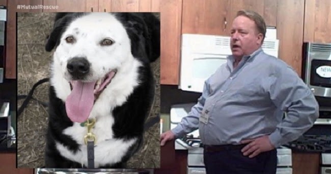 Man’s told he has 5 years to live, so he goes to a shelter and asks for an ‘οbese, middle-aged dog’ – 121