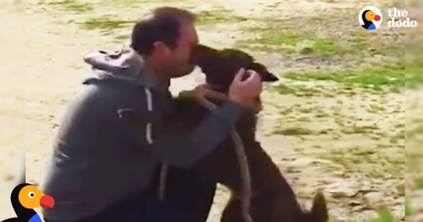 How a Dog Slowly Reunited with His Owner After Years in a Shelter Will Bring You to Tears