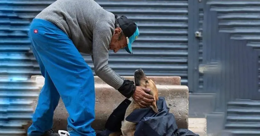 Get Ready to Be Moved: The Most Emotional Animal Rescue Videos You Need to See Right Now