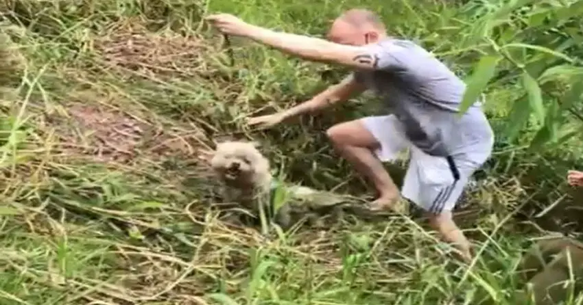 The Heartbreaking Encounter: The Boy Who Lost Trust and Hid in Thorn Bushes