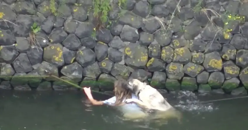 Heartwarming Rescue: Brave Rescuers Pull Dog to Safety from Deep Water