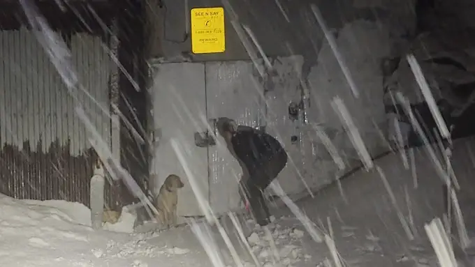 Officer braves heavy snow to rescue dog lost in snowstorm..