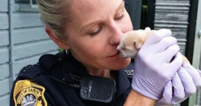 Police Find Mother Dog Trying To Free Puppy Thrown Into Trash Bin