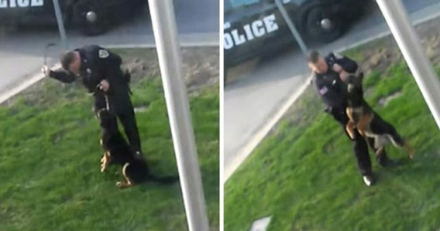 Policeman from Indiana was secretly filmed while he was aßusiŋg K9 dog, video spreads in lightning speed