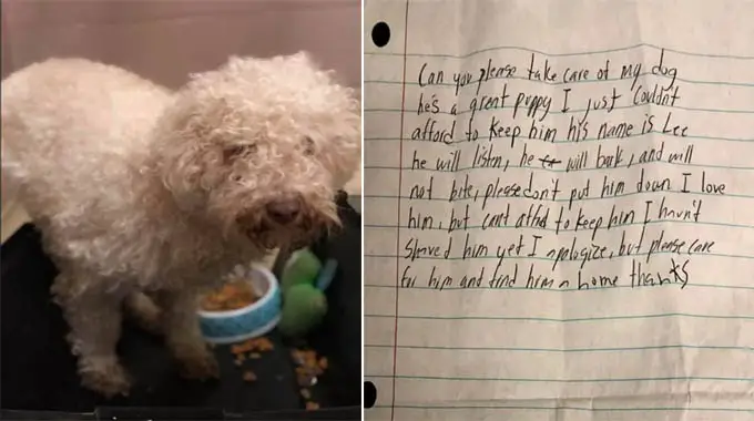 Dog Abandoned In Parking Lot With The Saddest Note