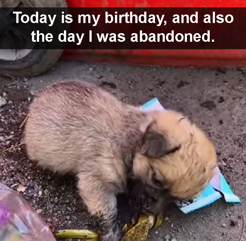 Today is my birthday, and also the day I was abandoned.