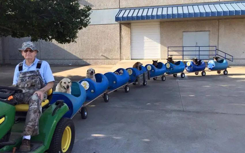 Elderly Couple’s Epic “Dog Train” Takes Rescued Pups on Unforgettable Adventures