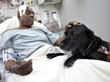 Hero Dog Saves Blind Man After Falling On A Subway Track