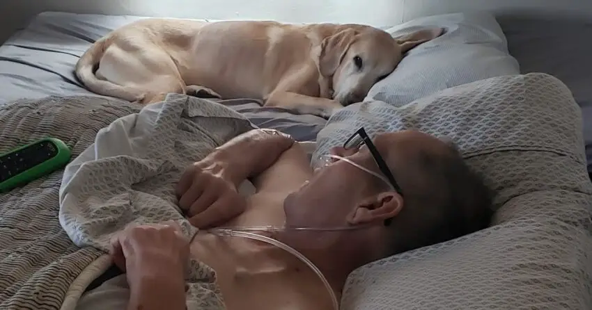 Touching story: Veteran and loyal dog passed away within hours of each other.