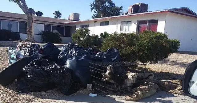 Woman moved and left her terrified dogs caged on the sidewalk with the trash