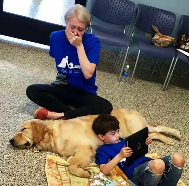 Tornado the Service Dog Brings Joy and Friendship to Boy with Autism: Heartwarming Moment Leaves Mom in Tears