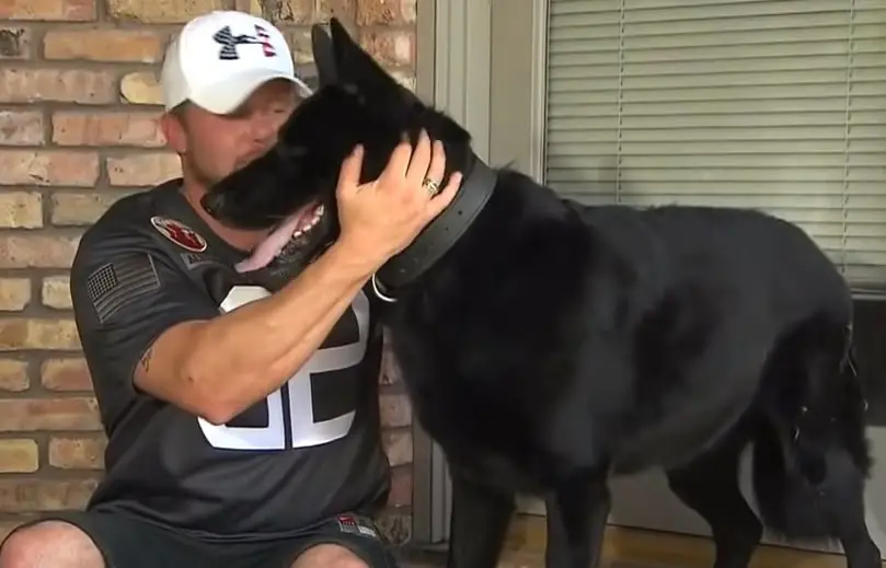 Emotional Reunion: Soldier and Military Dog Finally Meet Again ᴀғᴛᴇʀ 5 Years Apart