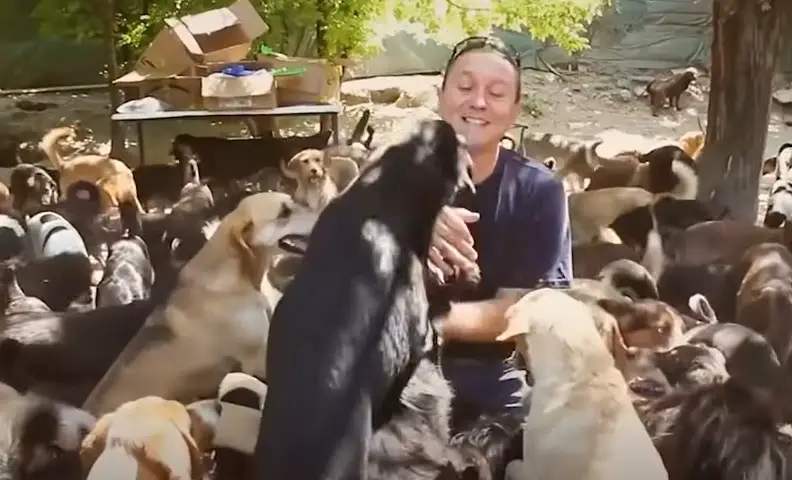 This Man Has Saved Over 1700 Abandoned Dogs