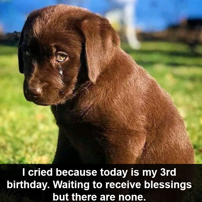 I cried because today is my 3rd birthday. Waiting to receive blessings but there are none.