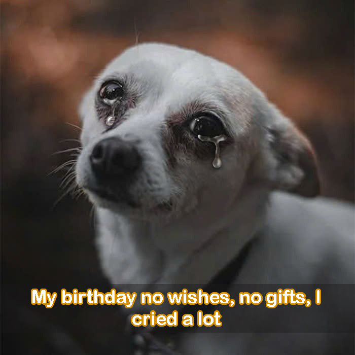 My birthday no wishes, no gifts, I cried a lot