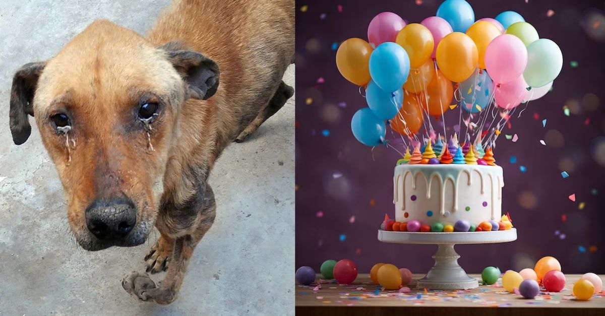 "I didn't know how to be adopted and loved, my 5th birthday was very sad" - Bam said