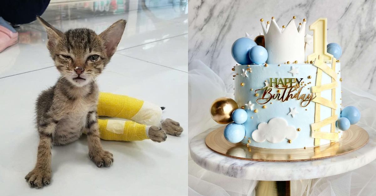 Pine was seriously injured on his birthday, can you send him your wishes?