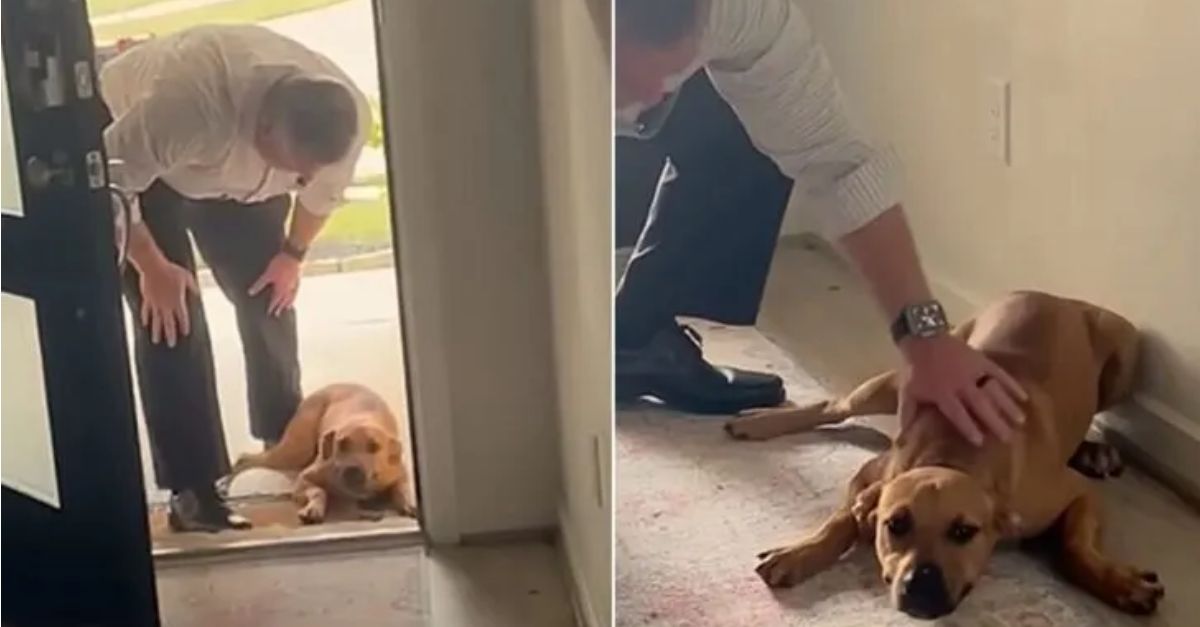 This abandoned puppy found himself isolated in an unfamiliar building until he encountered his new favorite companion