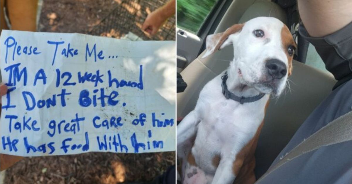 Officers were taken aback upon discovering the note located beside the abandoned puppy