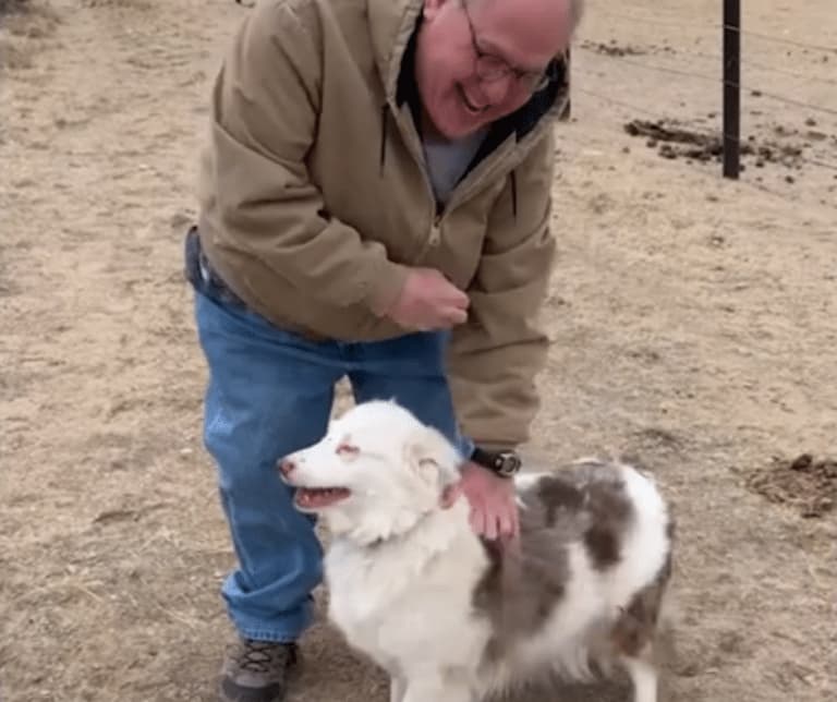 A Special Bond with Granddad: Steve and Bitsy’s Connection