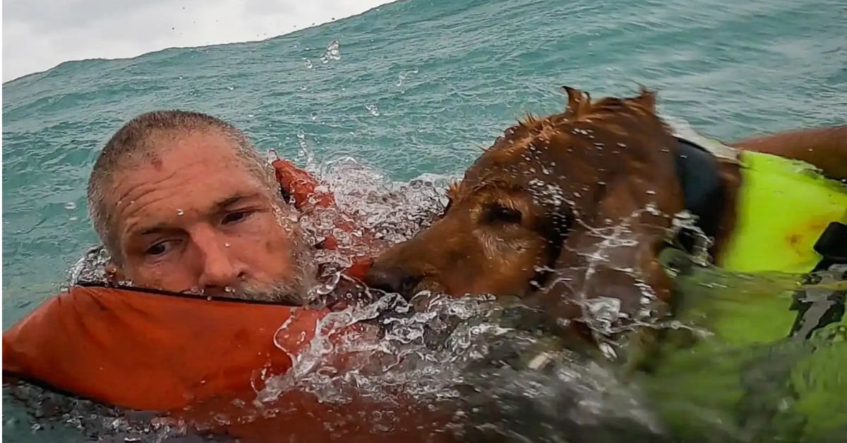 Coast Guard Races to Rescue Man and Dog from Sailboat Amid Hurricane Helene